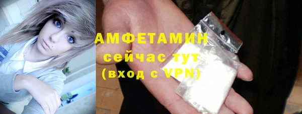 мет Алексин