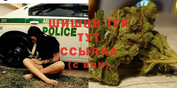 мет Алексин