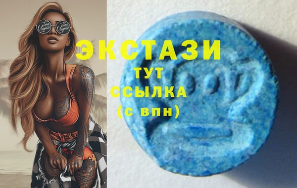 PSILOCYBIN Алзамай