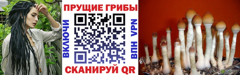 Галлюциногенные грибы Magic Shrooms  Архангельск 